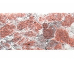 Плінтус Rehau 118 98170 Швидко червоний L=5000